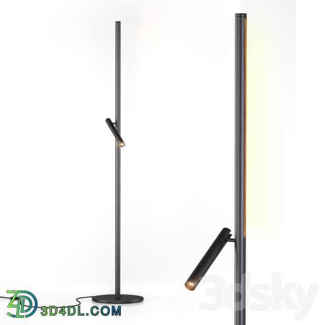 Backlight floor lamp