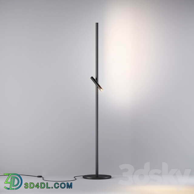 Backlight floor lamp