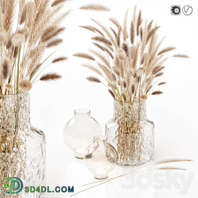 Dry flowers in glass vase
