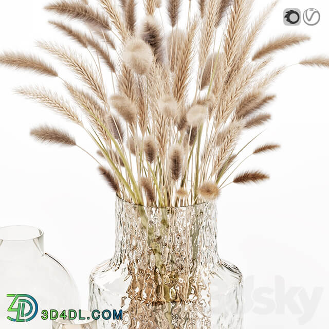 Dry flowers in glass vase