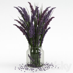 Bouquet of lavender. 