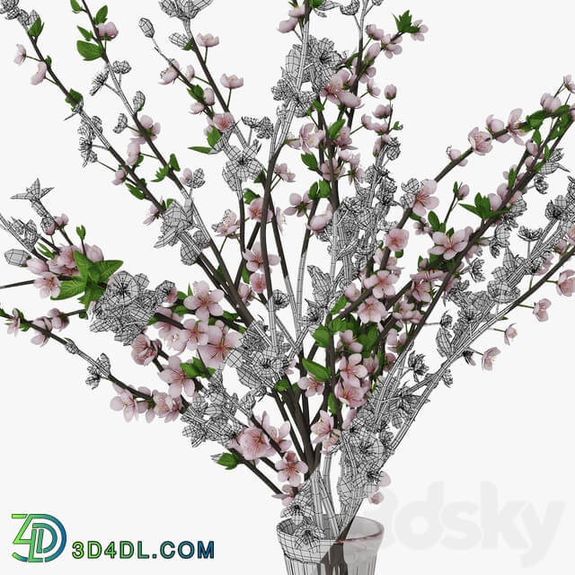 Plum blossom 02