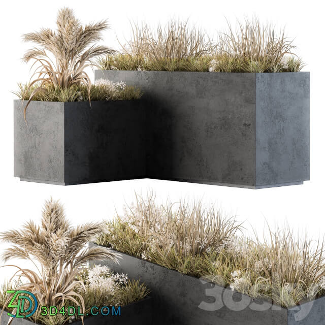 Outdoor Concrete Plant Box with Cereals and Dried Plants