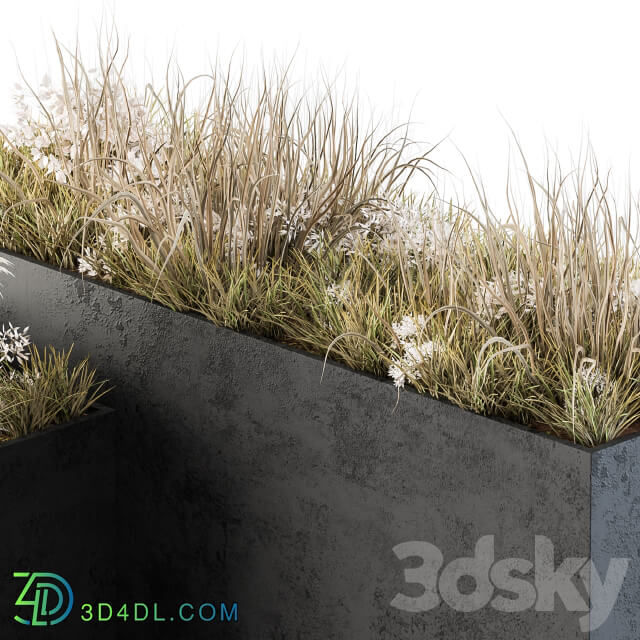 Outdoor Concrete Plant Box with Cereals and Dried Plants