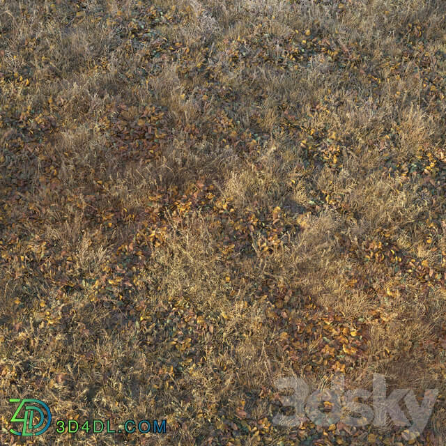 Dry autumn grass