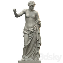 Venus 