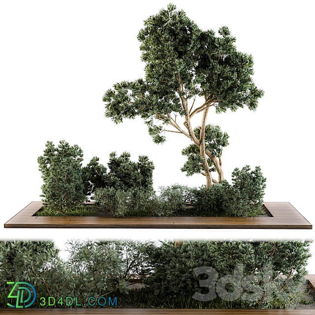 Garden set bush and Tree Garden Set 06