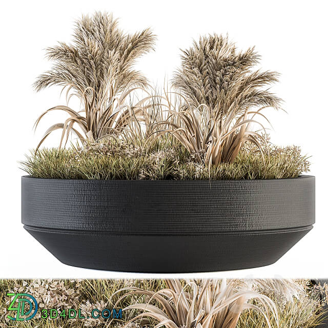 Outdoor Plants tree in Concrete Pot Set 147