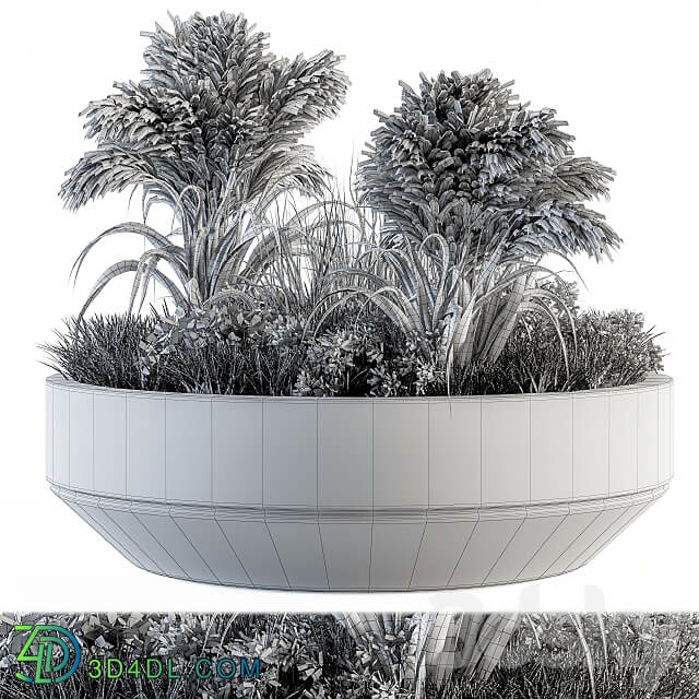 Outdoor Plants tree in Concrete Pot Set 147