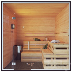 Miscellaneous Finnish Sauna 3 