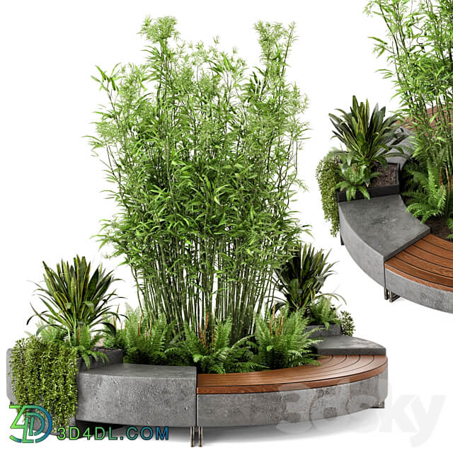 Outdoor Garden set bush and Tree Garden Set 55