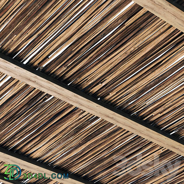 Ceiling wood sang thin branch n1