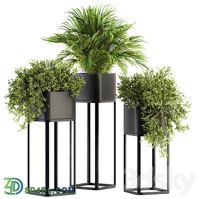 indoor Plant Set 211 Plant Box Stand