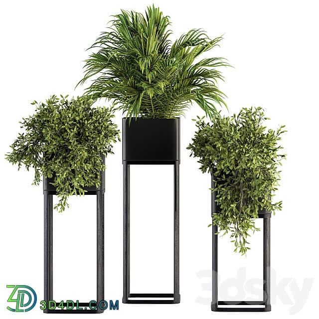 indoor Plant Set 211 Plant Box Stand