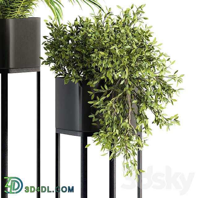 indoor Plant Set 211 Plant Box Stand