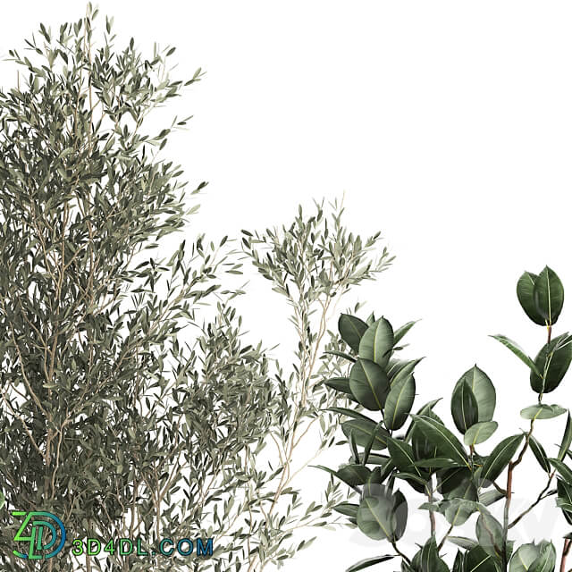Plant collection 972. Olive basket rattan tree reed flowerpot eco design Scandinavian style 3D Models