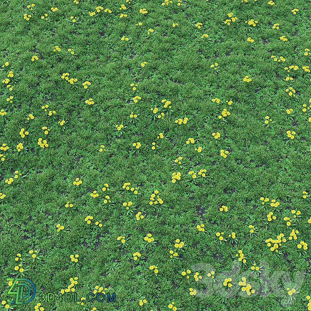 Grass set 01 Dandelion