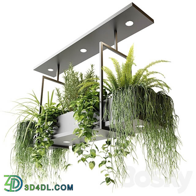 Pendant light Suspended luminaire with plants OSLO