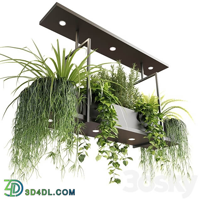 Pendant light Suspended luminaire with plants OSLO