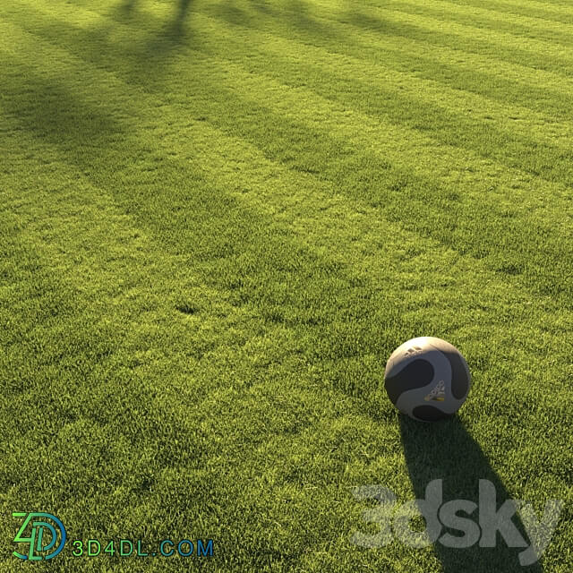 Football pitch lawn