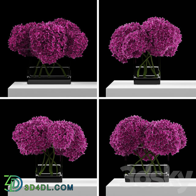 Pink hydrangeas 3D Models