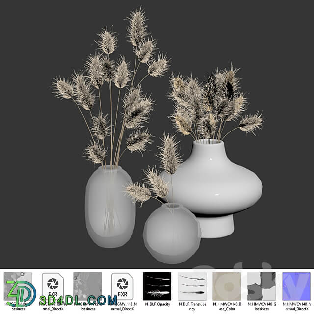 Dried Lagurus Bouquets 01 3D Models