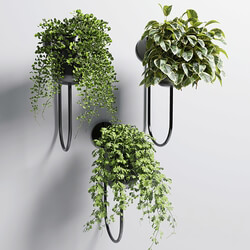 collection Indoor plant 101 vase metal stand wall plant 