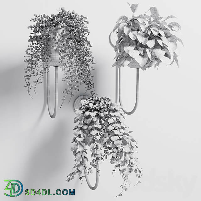 collection Indoor plant 101 vase metal stand wall plant