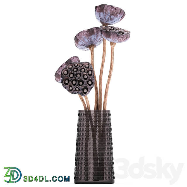 Bouquet 152. branches vase dried flower dry lotus natural decor dry stems glass 3D Models