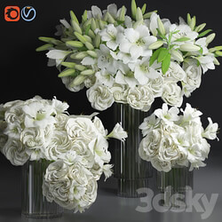 White Lily Tuberose Peony Camelia Bouquet Decorative Glass Vases Set 3D Models 3DSKY 