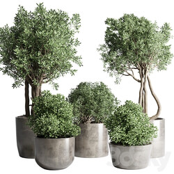 Collection Outdoor Indoor plant 53 concrete dirt vase pot tree bush 
