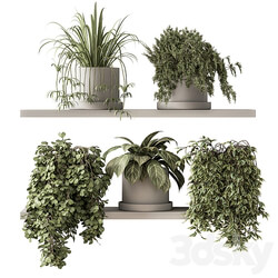 indoor Plant Set 281 Plant pot on shelves 