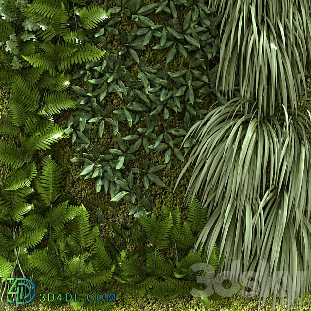 vertical plant 156 Fitowall 3D Models