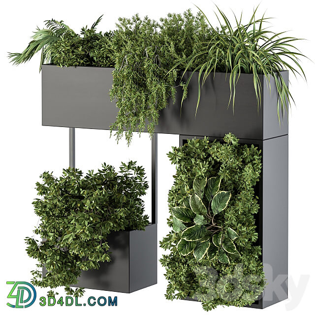 Plant Box on wall indoor Plants 300 3D Models 3DSKY