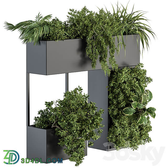 Plant Box on wall indoor Plants 300 3D Models 3DSKY