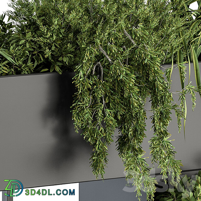 Plant Box on wall indoor Plants 300 3D Models 3DSKY