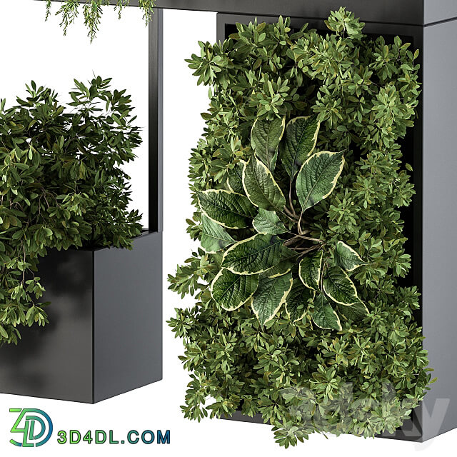 Plant Box on wall indoor Plants 300 3D Models 3DSKY