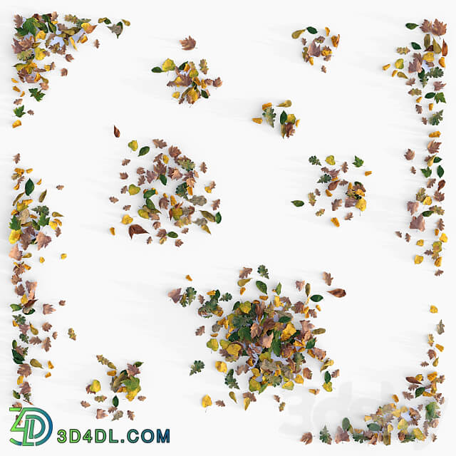 Autumn leaves 3D Models 3DSKY