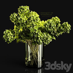 A bouquet of hydrangea 3D Models 3DSKY 