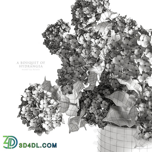 A bouquet of hydrangea 3D Models 3DSKY