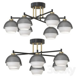 Ceiling chandelier Lumion Jade 4456 6C Ceiling lamp 3D Models 3DSKY 