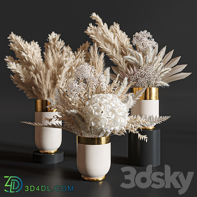 Flower Set 010 Pampas. 3D Models 3DSKY