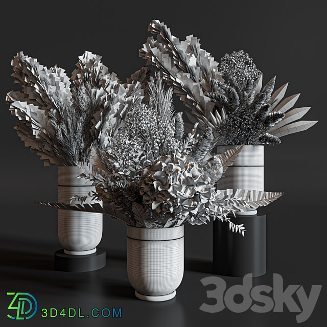 Flower Set 010 Pampas. 3D Models 3DSKY