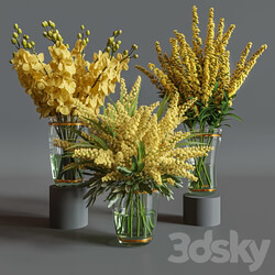 Flower Set 011 Yellow flowers. 3D Models 3DSKY 