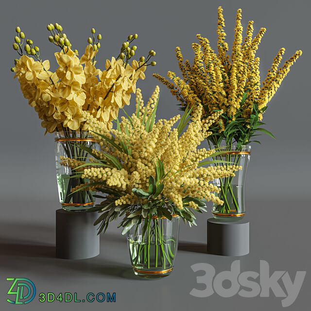 Flower Set 011 Yellow flowers. 3D Models 3DSKY
