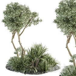 Needle tree and Bush Outdoor Garden Set 305 3D Models 3DSKY 