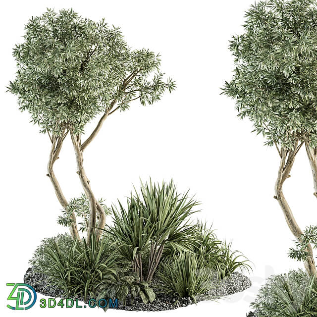 Needle tree and Bush Outdoor Garden Set 305 3D Models 3DSKY