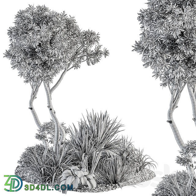 Needle tree and Bush Outdoor Garden Set 305 3D Models 3DSKY