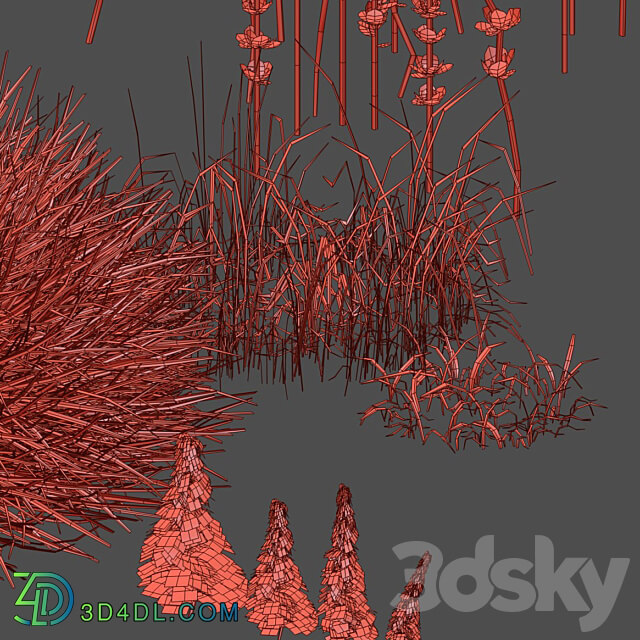 Field herbs grass 3D Models 3DSKY