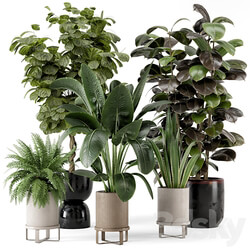 Indoor Plants in Ferm Living Bau Pot Large Set 299 3D Models 3DSKY 
